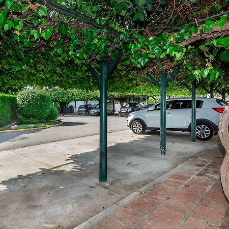 Mini Motel At Los Naranjosgc Marbella Zewnętrze zdjęcie